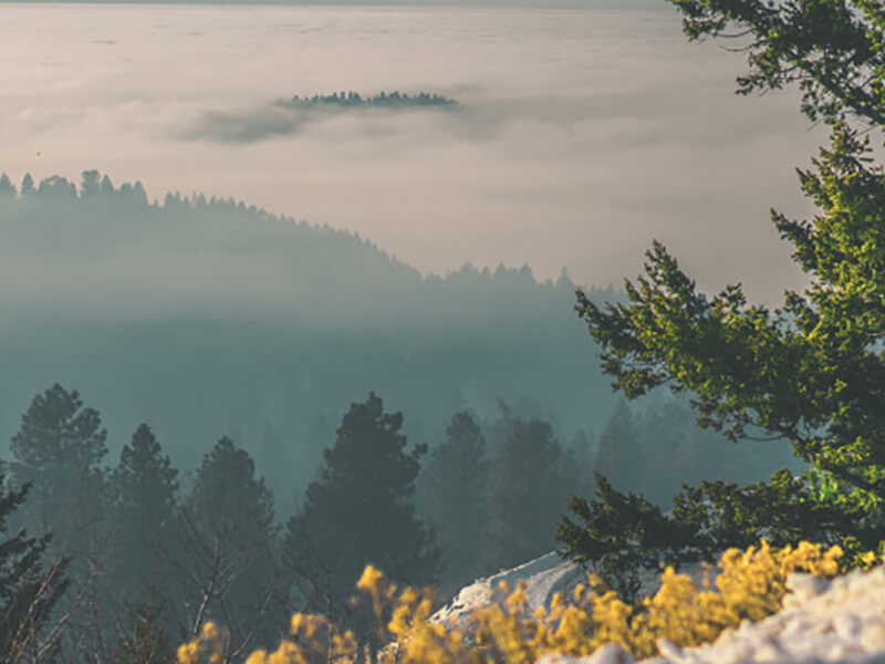 Top of the mountains overlooking a forest