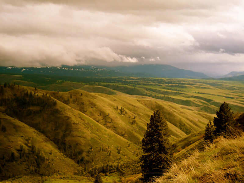 Green landscape with overcast skies