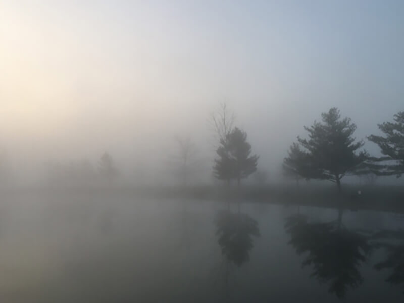 Foggy pond with trees in the distance