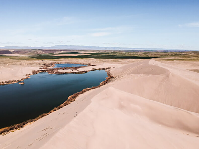 Desert Oasis