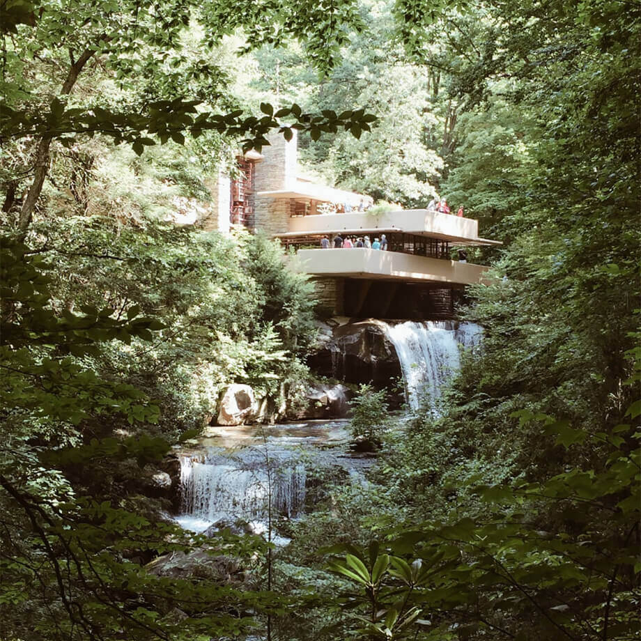 Waterfall in a forest